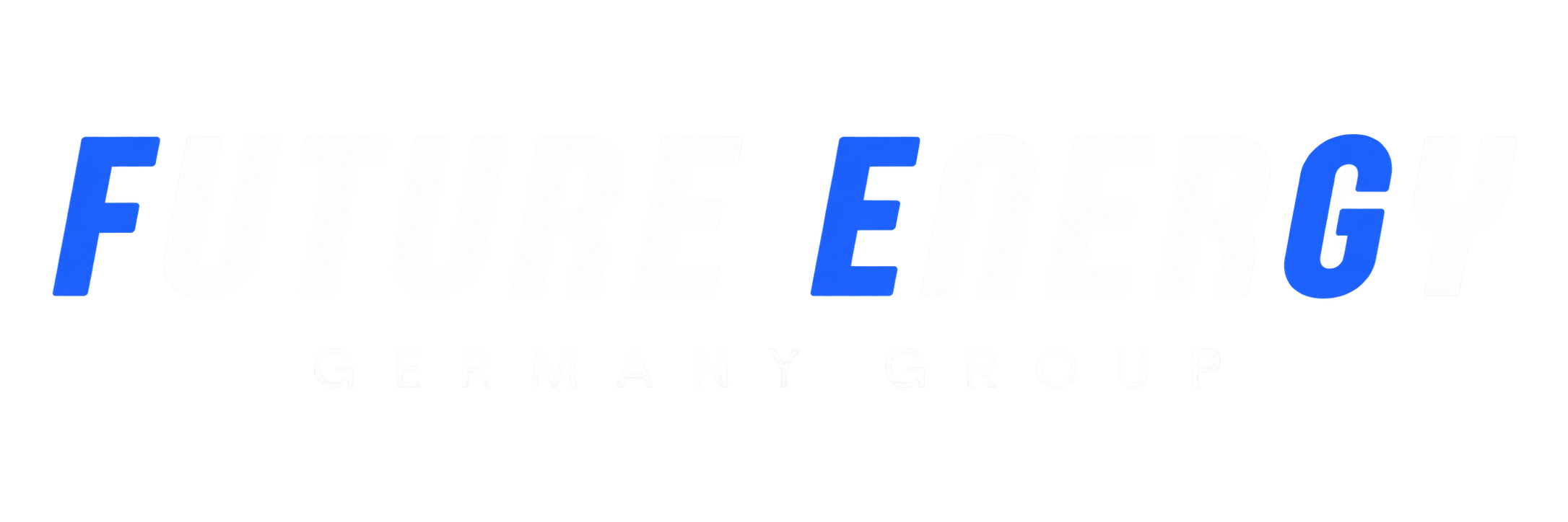 Future Energy Germany Group